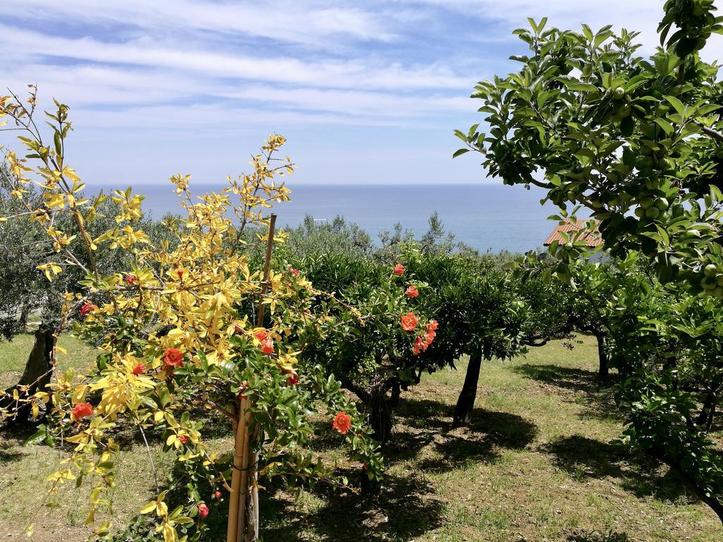 Villa Rosaria Васто Екстер'єр фото